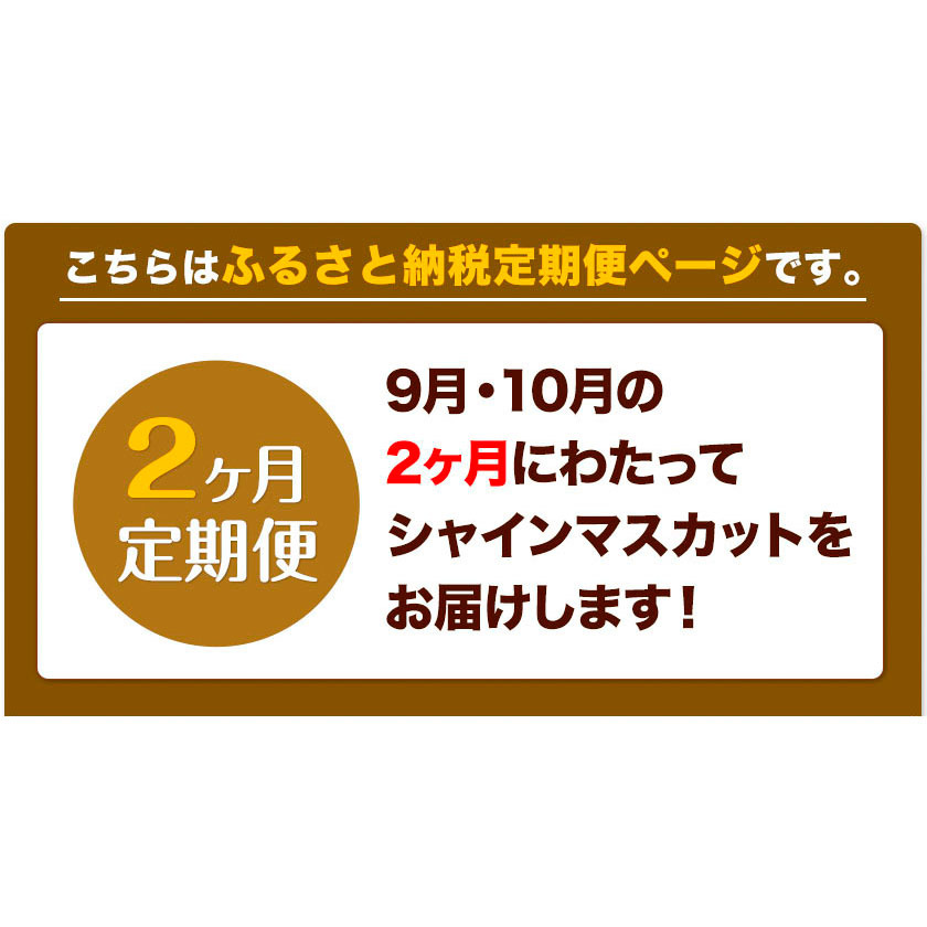 岡山県浅口市のふるさと納税 シャインマスカット 晴王 岡山県産 定期便 2ヶ月 9月・10月発送 [2025年先行予約]《9月中旬-10月末頃出荷(土日祝除く)》1房 750g ハレノスイーツ 岡山中央卸売市場店 岡山県 浅口市 【配送不可地域あり】