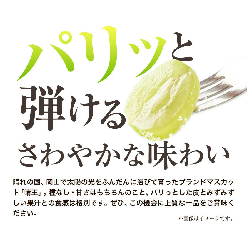 岡山県浅口市のふるさと納税 シャインマスカット 晴王 岡山県産 定期便 2ヶ月 9月・10月発送 [2025年先行予約]《9月中旬-10月末頃出荷(土日祝除く)》1房 750g ハレノスイーツ 岡山中央卸売市場店 岡山県 浅口市 【配送不可地域あり】