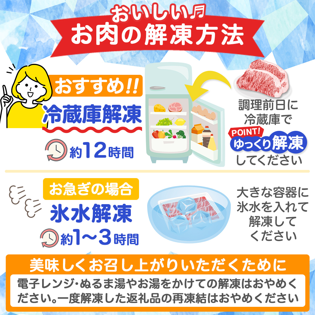 宮崎県都城市のふるさと納税 「高城の里」わくわく4.1kgセット(真空)_AC-8402-s