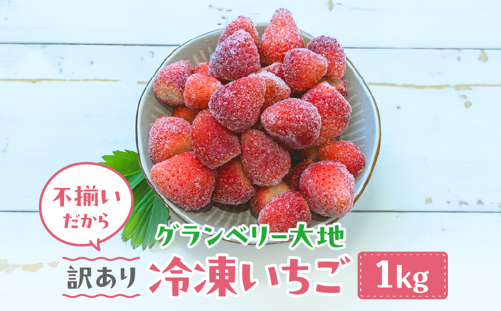 y錧푍szy󂠂zⓀ@1kg