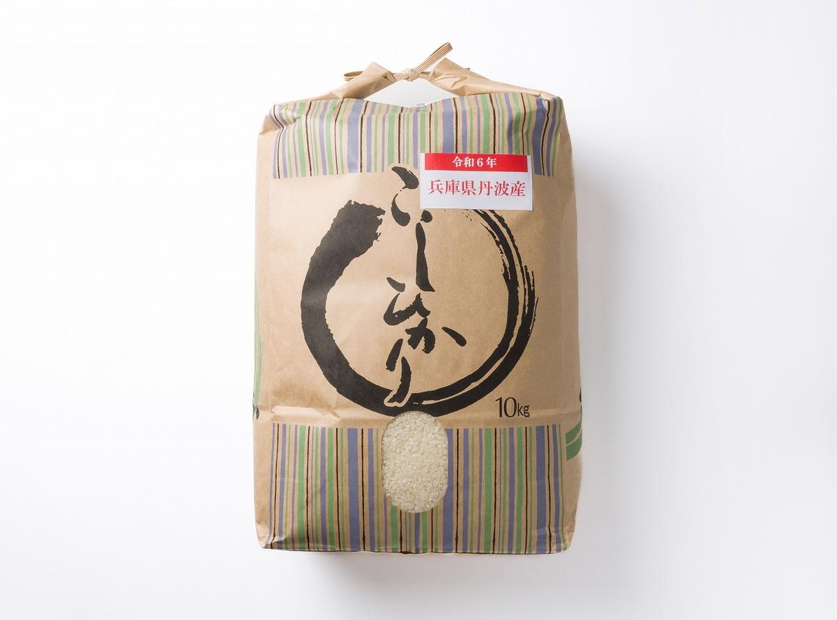 コシヒカリ 2024年産 10kg