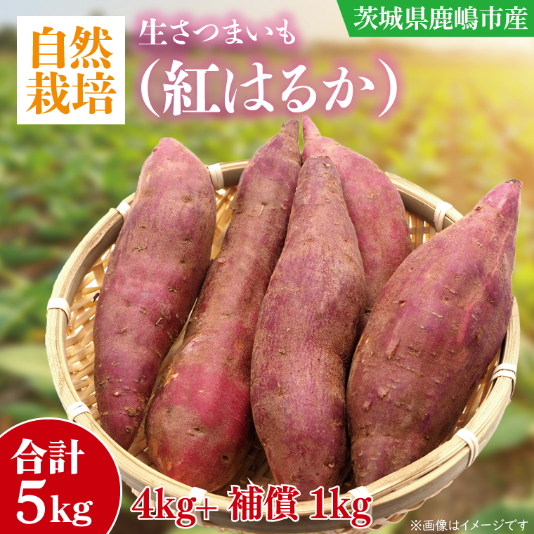y錧szy10{`11܂ł̔iIzyR͔|zg͂邩 ܂(4kg+25%⏞)@v 5kg yTc}C   ׂɂ͂邩 R͔| VN I[KjbN Ă ϕ VՂ XC[g|eg s 錧ziKAG-39j
