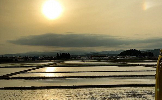 山形県南陽市のふるさと納税 JA 特別栽培米 つや姫 10kg (5kg×2袋) 『JA山形おきたま』 山形置賜産 米 精米 山形県 南陽市 [639]