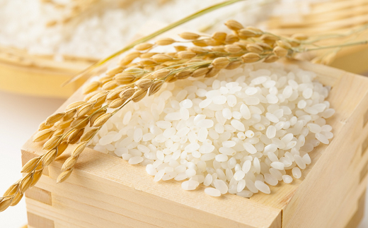 山形県南陽市のふるさと納税 JA 特別栽培米 つや姫 10kg (5kg×2袋) 『JA山形おきたま』 山形置賜産 米 精米 山形県 南陽市 [639]