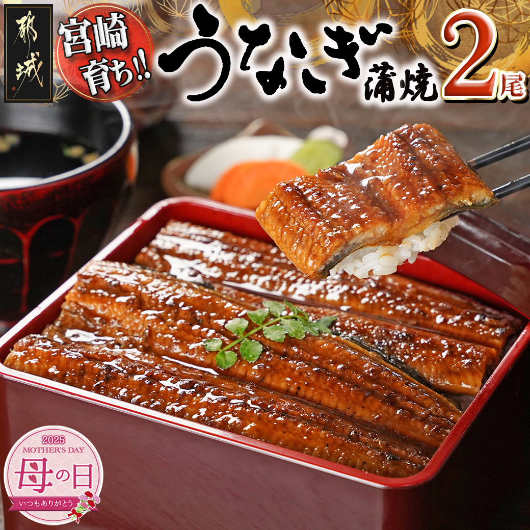 [母の日]宮崎県育ちのうなぎ蒲焼2尾300g以上≪山椒・たれ付≫≪5月8日〜11日お届け≫_13-M301-MG