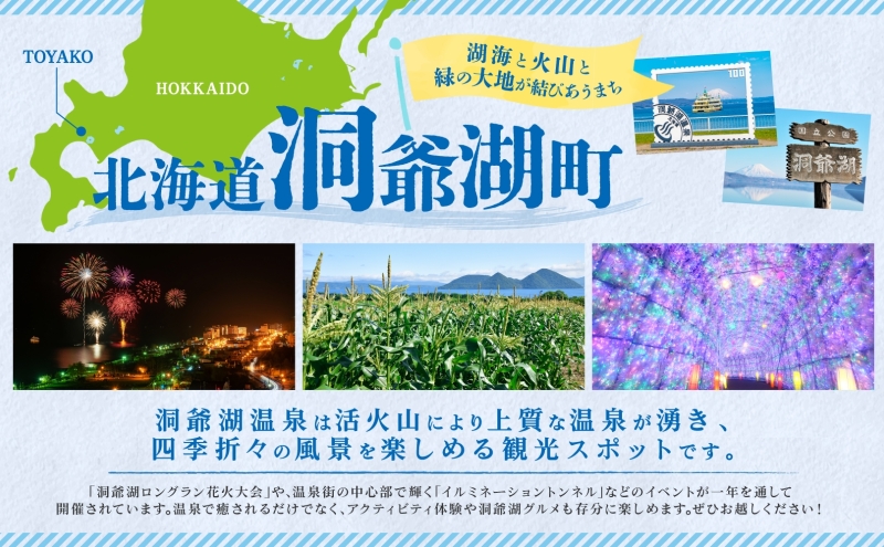 北海道洞爺湖町のふるさと納税 北海道産 新巻鮭 低温熟成 切身 2切入り 8パック 約1.9kg 2025年2月順次出荷 北海道 秋鮭 小分け 鮭 さけ しゃけ シャケ 中塩 海鮮 冷凍 お弁当 真空パック おかず 魚貝類 サーモン サケ