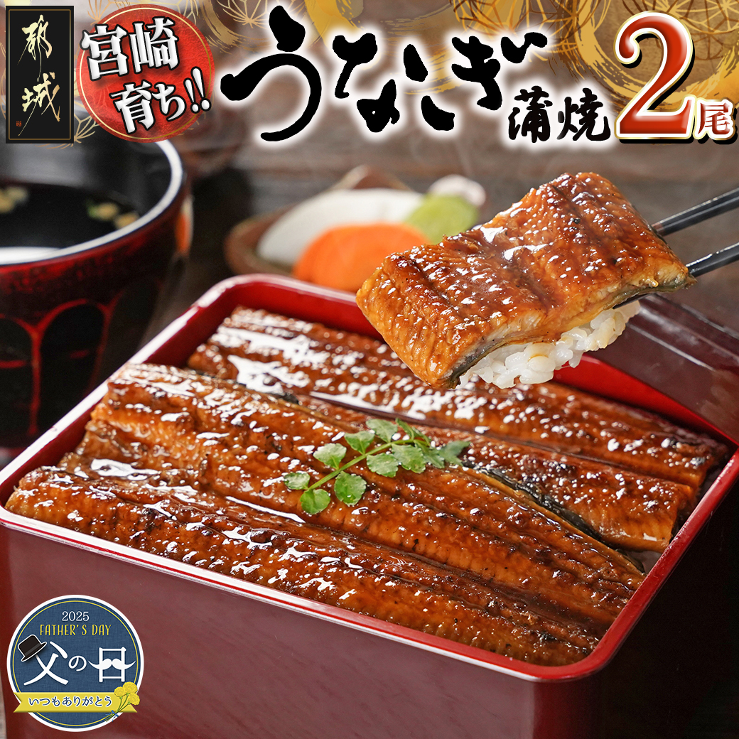 [父の日]宮崎県育ちのうなぎ蒲焼2尾300g以上≪山椒・たれ付≫≪6月12日〜15日お届け≫_13-M301-FG