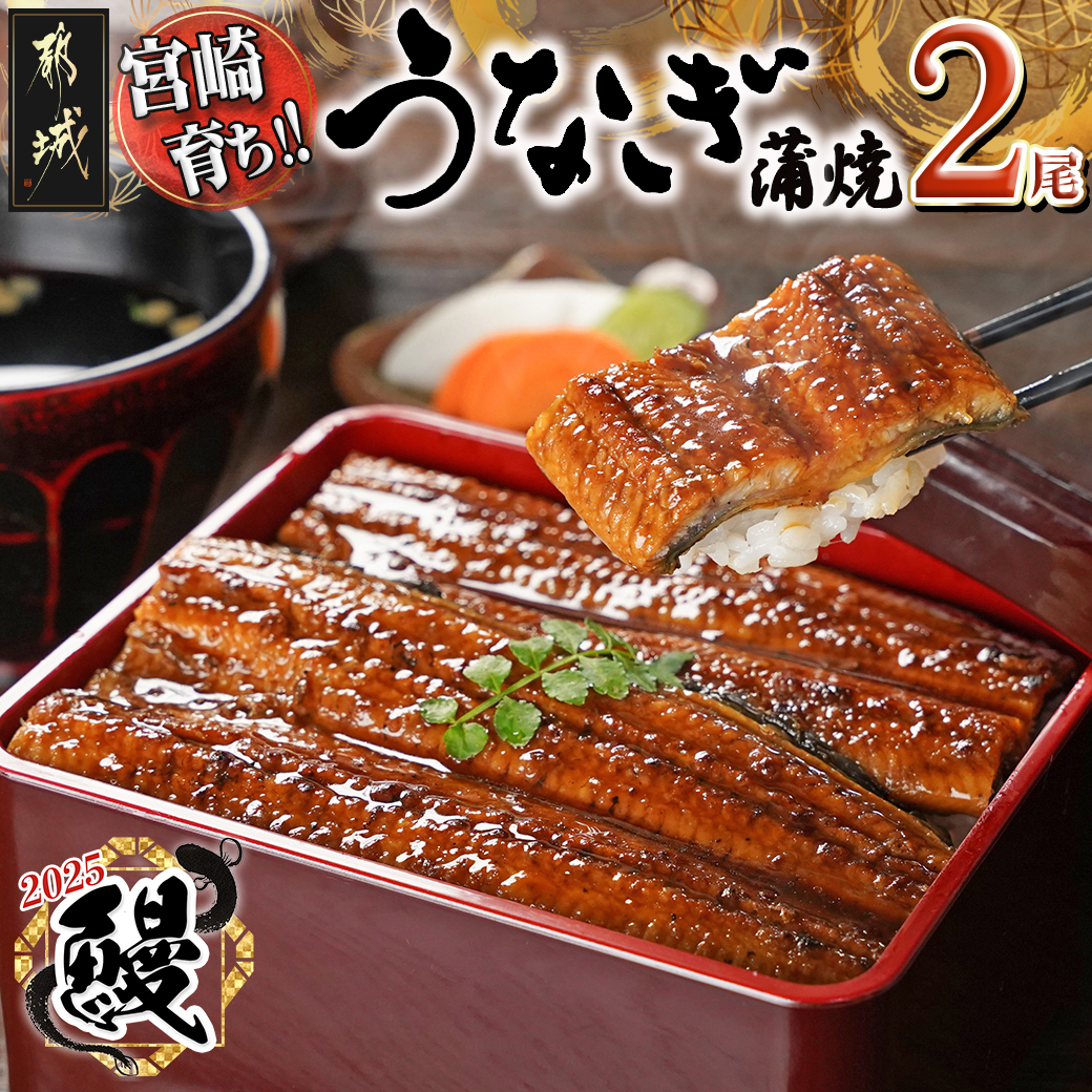 [丑の日]宮崎県育ちのうなぎ蒲焼2尾300g以上≪山椒・たれ付≫≪7月10日〜18日お届け≫_13-M301-UG