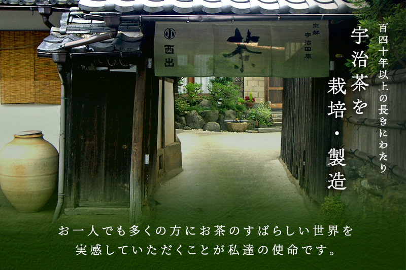 京都府宇治田原町のふるさと納税 宇治抹茶「極」12人前（つゆ付き）茶蕎麦 茶そば 蕎麦 そば 宇治抹茶 抹茶 石臼挽き 宇治 温冷 乾物