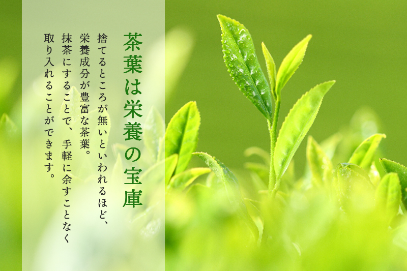 お抹茶いっぷくセット(30g缶入、いっぷく碗2客、茶せん、茶杓