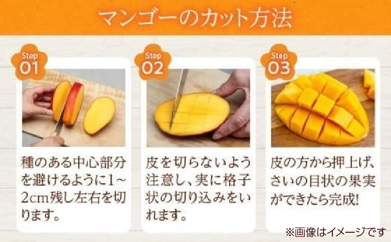 宮崎県日南市のふるさと納税 数量限定 完熟マンゴー 3L×1玉 フルーツ 果物 くだもの 国産 期間限定 食品 デザート おやつ 人気 おすすめ おすそ分け ご褒美 お祝 お取り寄せ グルメ 産地直送 お土産 ギフト プレゼント 贈り物 贈答品 宮崎県 日南市 送料無料_BD67-23