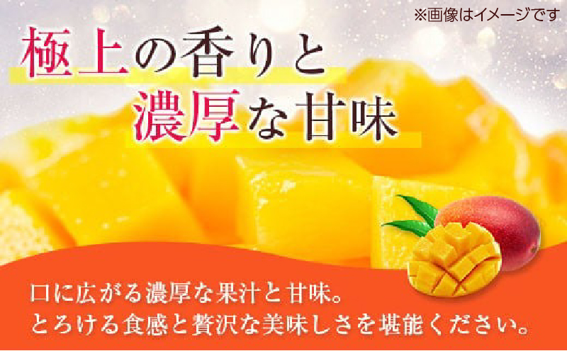 宮崎県日南市のふるさと納税 数量限定 完熟マンゴー 3L×1玉 フルーツ 果物 くだもの 国産 期間限定 食品 デザート おやつ 人気 おすすめ おすそ分け ご褒美 お祝 お取り寄せ グルメ 産地直送 お土産 ギフト プレゼント 贈り物 贈答品 宮崎県 日南市 送料無料_BD67-23