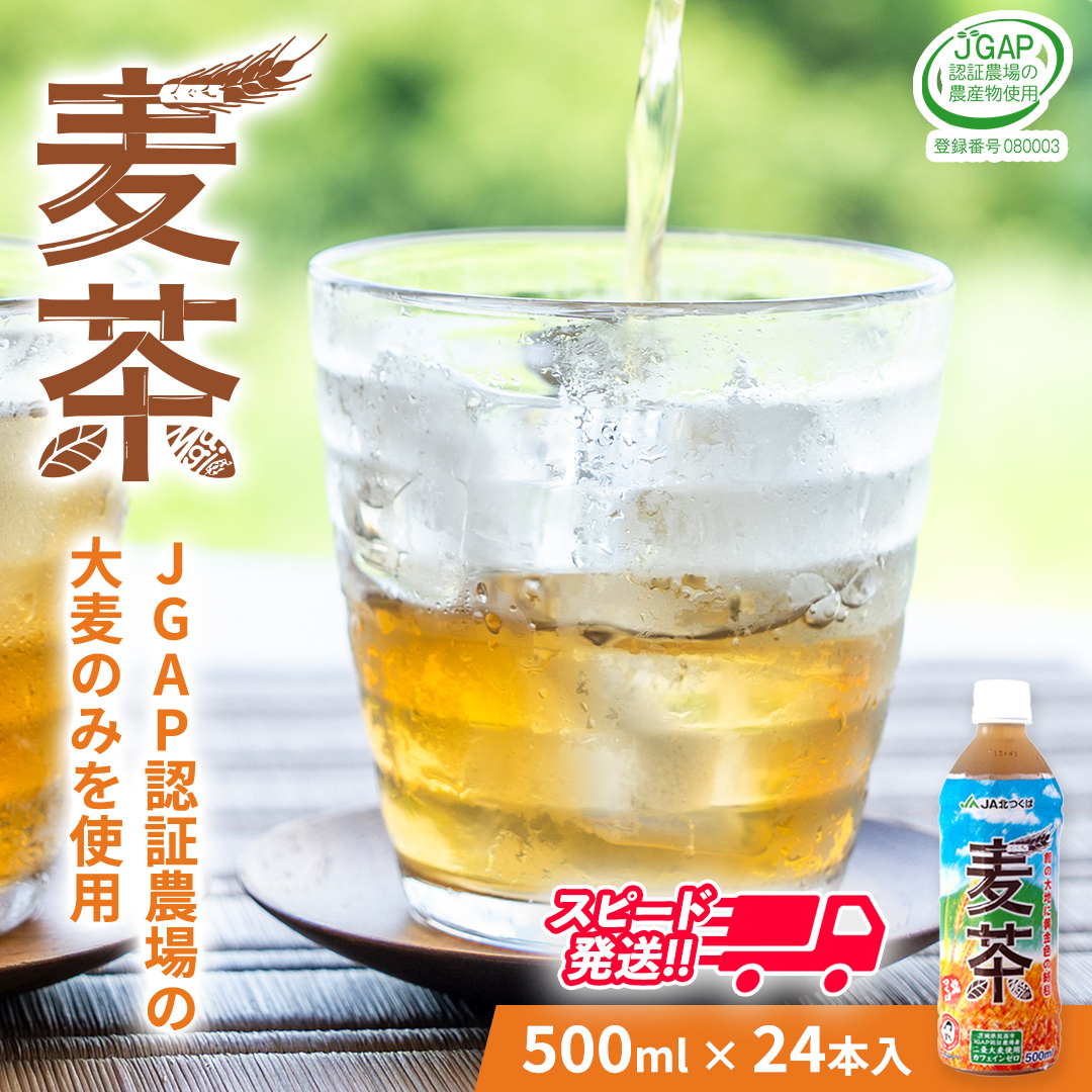 麦茶 スピード発送!!【 JA 北つくば 】 JGAP認証 麦茶 1箱 ( 500ml × 24本
