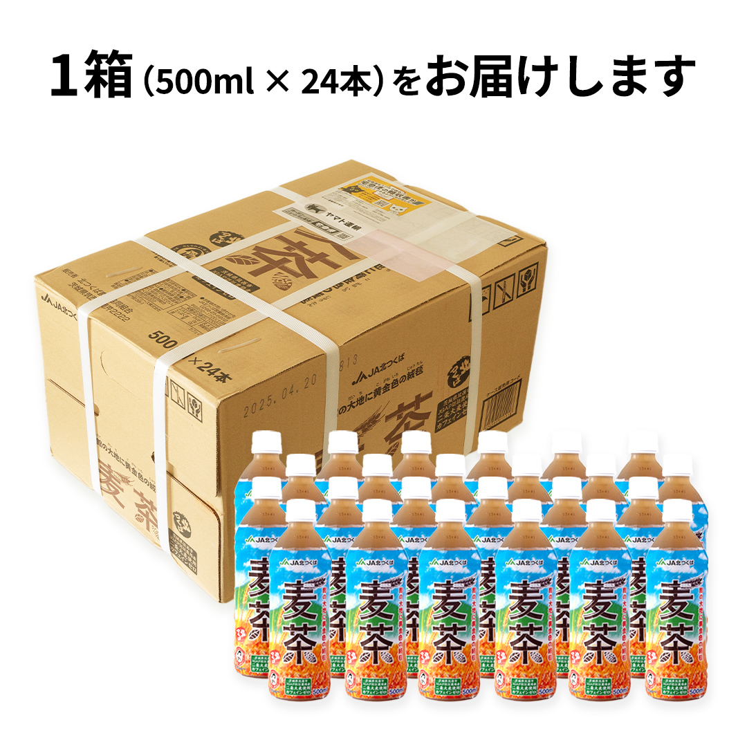 麦茶 0000000004852_XdtOPne.jpg