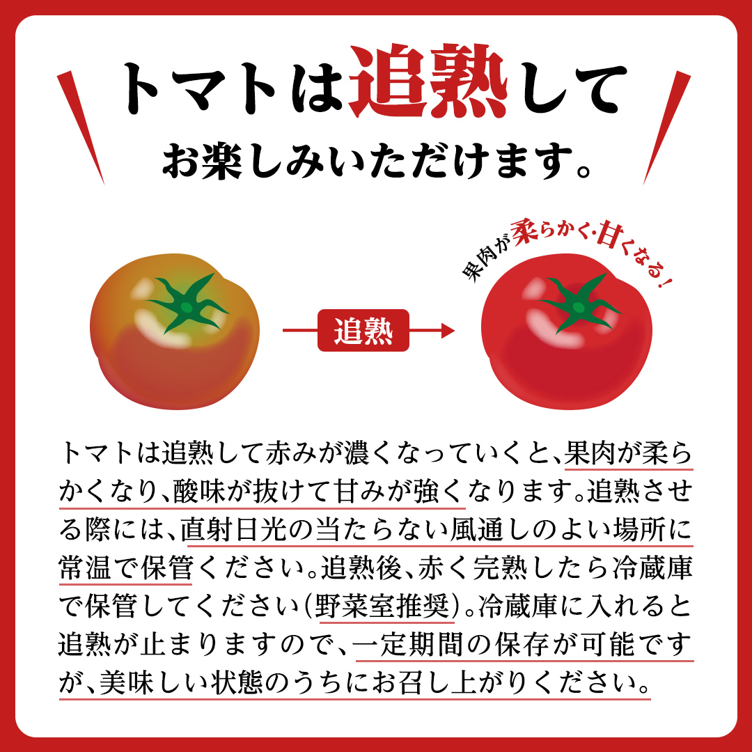 高糖度フルーツトマト 2.3kg3箱 高糖度フルーツトマト – よしかファーム公式ウェブショップ