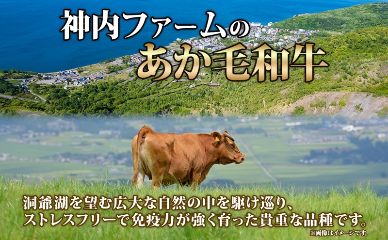 北海道洞爺湖町のふるさと納税 【セゾン限定】洞爺 あか牛 焼肉用 (バラ肉) 1kg(200g×5パック) 北海道 洞爺湖 お肉 牛肉 バーベキュー おうち焼肉 BBQ ジューシー ヘルシー 赤身本来のうまみ コク 柔らかい