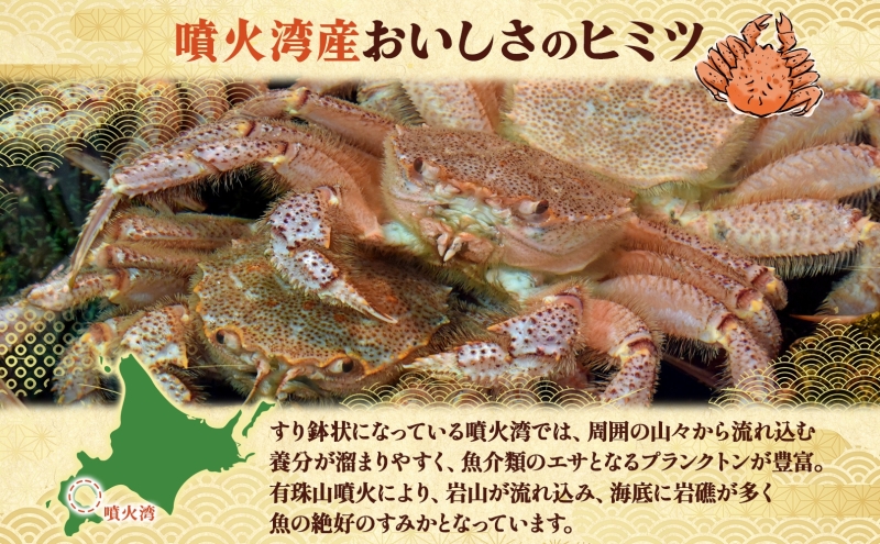 北海道洞爺湖町のふるさと納税 【セゾン限定】北海道 噴火湾産 活毛がに 2尾 （1尾300g～400g） 2025年6月下旬～7月上旬お届け 先行受付 北海道産 旬 新鮮 毛がに かに カニ 蟹 毛ガニ 毛蟹 カニ味噌 天然 噴火湾 産地直送 お取り寄せ 贈答 冷蔵 洞爺湖町