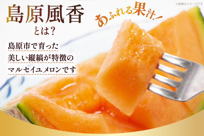 CF108【令和7年度出荷分】マルセイユメロン～島原風香～（4L×2玉