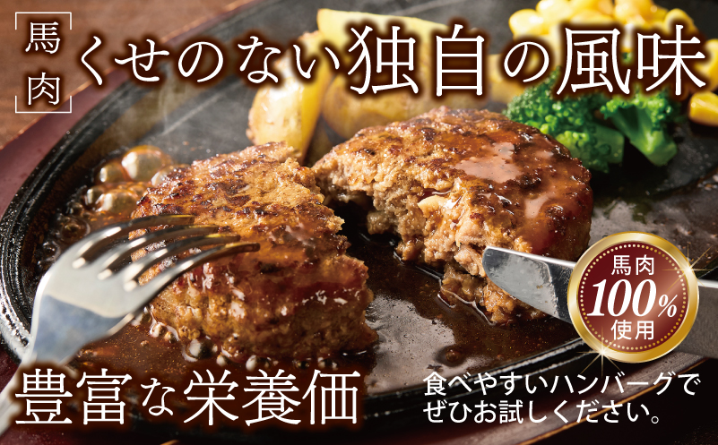 大阪府泉佐野市のふるさと納税 桜文 馬肉ハンバーグ 総量1.2kg（120g×10個） 個包装 G1728