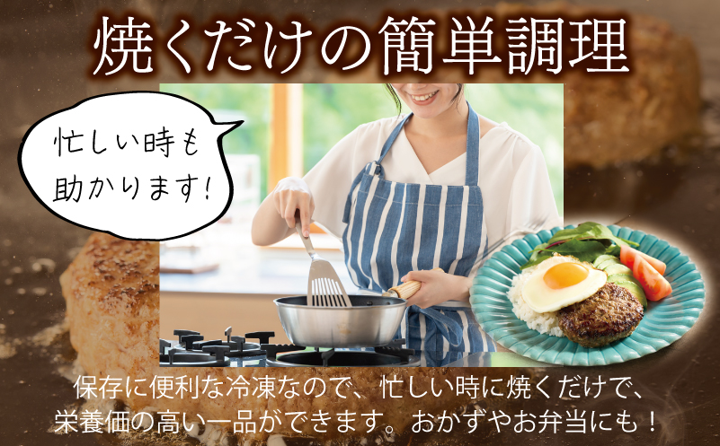大阪府泉佐野市のふるさと納税 桜文 馬肉ハンバーグ 総量1.2kg（120g×10個） 個包装 G1728