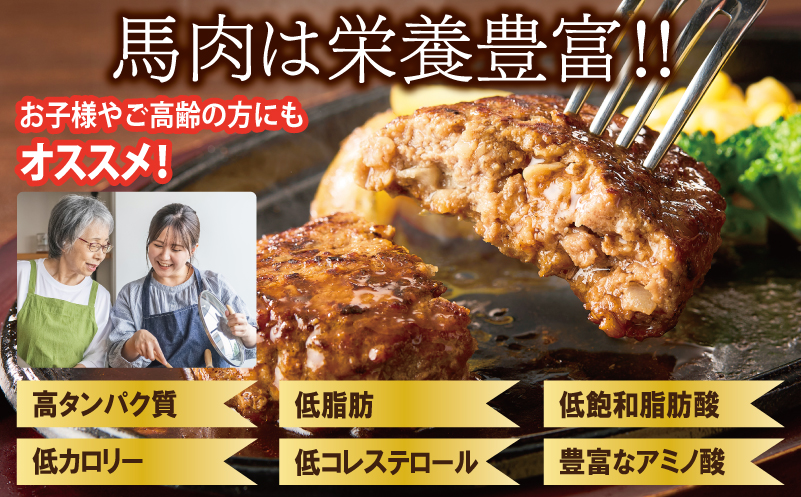 大阪府泉佐野市のふるさと納税 桜文 馬肉ハンバーグ 総量1.2kg（120g×10個） 個包装 G1728