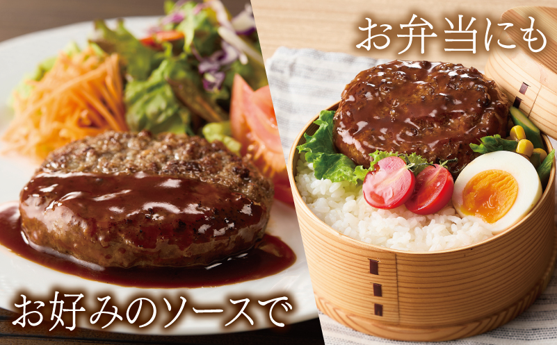 大阪府泉佐野市のふるさと納税 桜文 馬肉ハンバーグ 総量1.2kg（120g×10個） 個包装 G1728