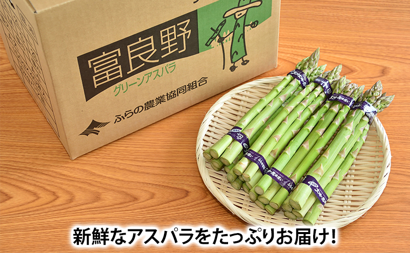 グリーンアスパラガス” 150〜250本前後 約5kg /北海道/長野/広島