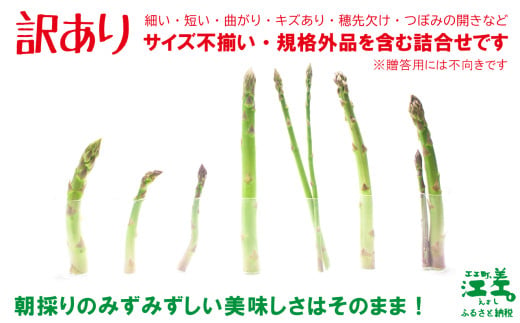 北海道江差町のふるさと納税 【夏芽 予約受付 6月中旬～順次出荷】《訳あり》2025年 北海道江差町産 アスパラガス 1kg【サイズ不揃い・規格外MIX】　見た目は良くなくても鮮度や味は正規品と変わりません！　朝採り　農家直送　新鮮　鮮度保持　北海道　旬野菜　グリーンアスパラ　アスパラ　ご自宅用　無選別・規格外・ハネ物・B品