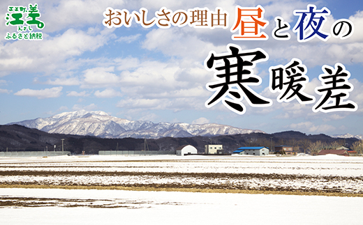 北海道江差町のふるさと納税 【夏芽 予約受付 6月中旬～順次出荷】《訳あり》2025年 北海道江差町産 アスパラガス 1kg【サイズ不揃い・規格外MIX】　見た目は良くなくても鮮度や味は正規品と変わりません！　朝採り　農家直送　新鮮　鮮度保持　北海道　旬野菜　グリーンアスパラ　アスパラ　ご自宅用　無選別・規格外・ハネ物・B品