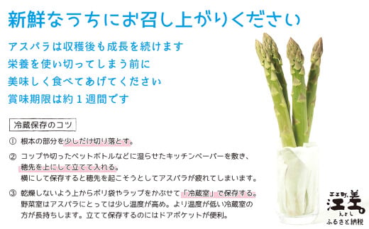 北海道江差町のふるさと納税 【夏芽 予約受付 6月中旬～順次出荷】《訳あり》2025年 北海道江差町産 アスパラガス 1kg【サイズ不揃い・規格外MIX】　見た目は良くなくても鮮度や味は正規品と変わりません！　朝採り　農家直送　新鮮　鮮度保持　北海道　旬野菜　グリーンアスパラ　アスパラ　ご自宅用　無選別・規格外・ハネ物・B品