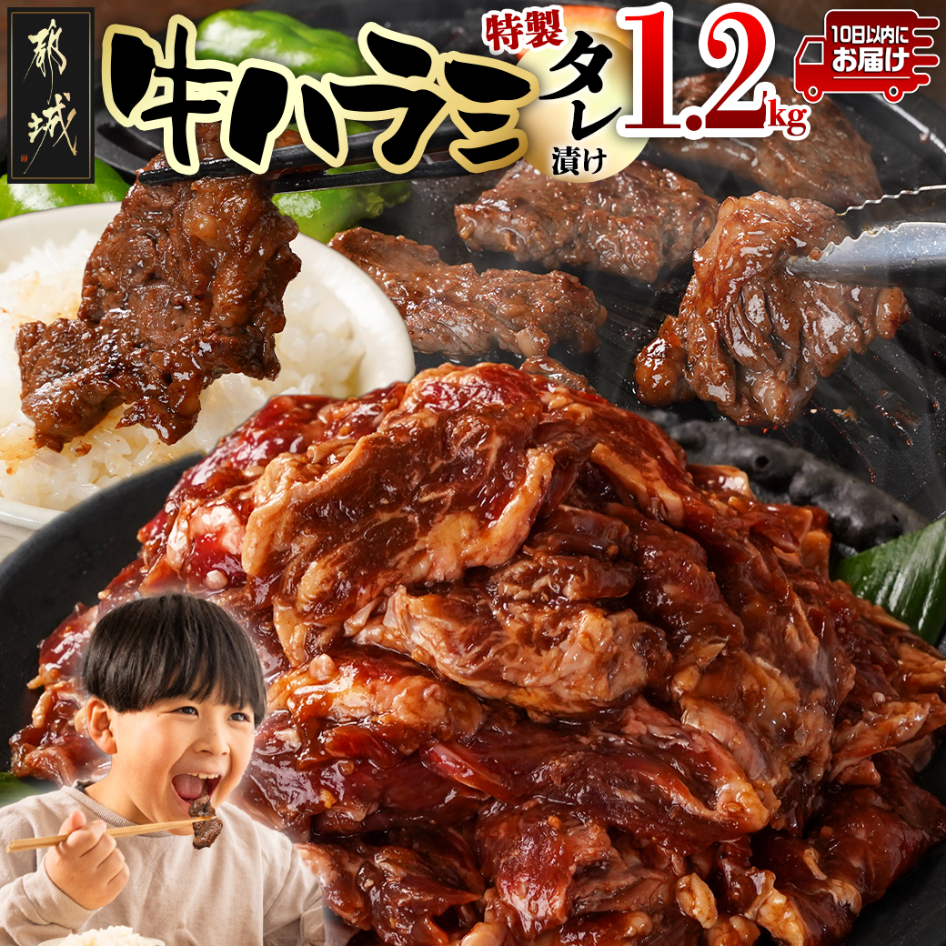 牛ハラミ タレ漬け1.2kg≪みやこんじょ特急便≫_12-3309-Q