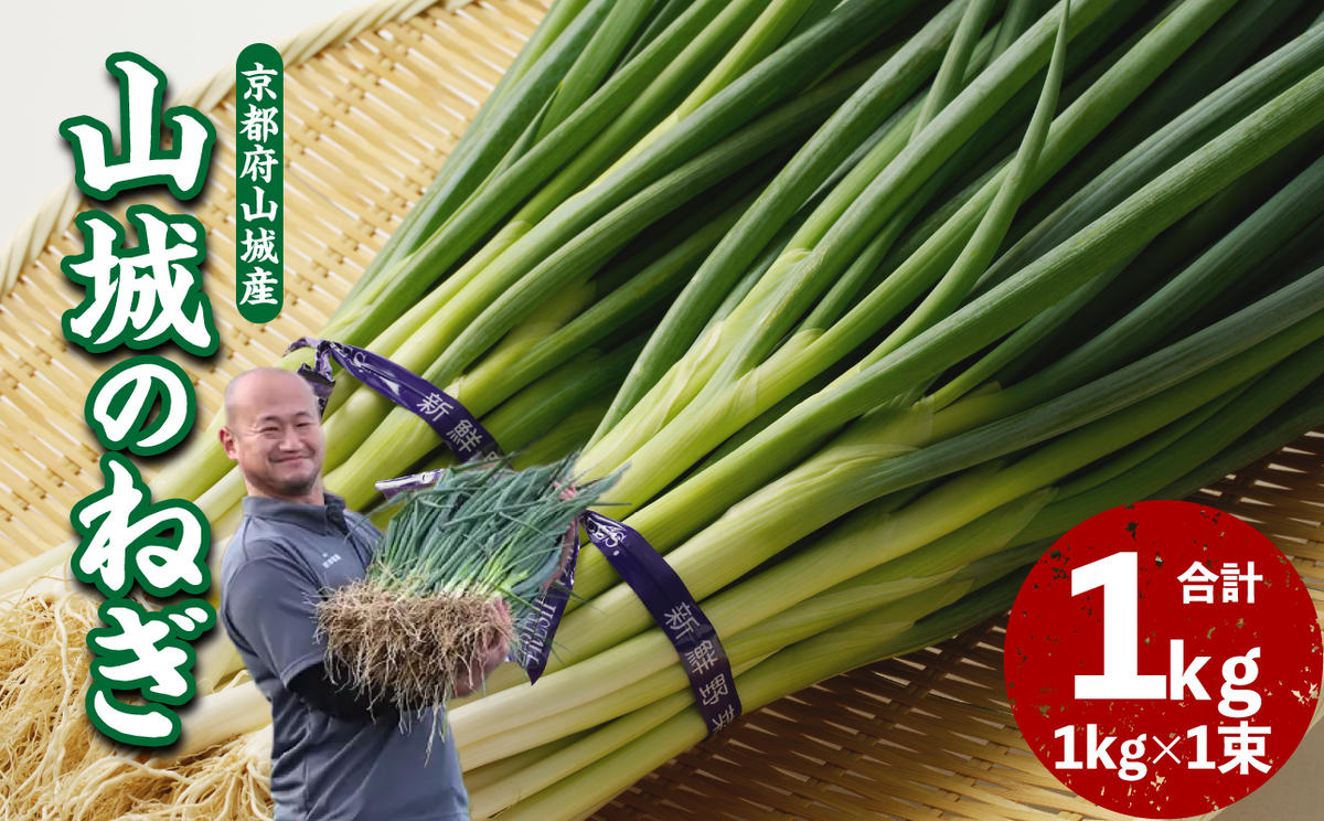 山城のねぎ 1kg
