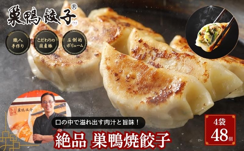 ヨシ焼き餃子ほか お得なBOX 送料込み】六色餃子 ＆ よだれBOX 5,557円 ⇒ 4,990円