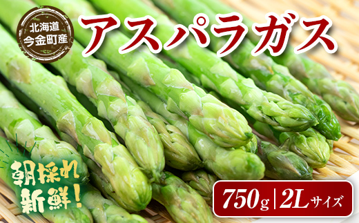 【先行予約】朝採れ新鮮アスパラ 750g 