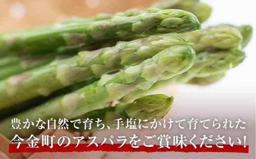 北海道今金町のふるさと納税 【先行予約】朝採れ新鮮アスパラ 750g （2Lサイズ）（2025年3月下旬～6月中旬または7月上旬～9月上旬頃発送） F21W-459