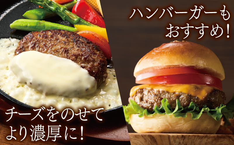 大阪府泉佐野市のふるさと納税 桜文 馬肉ハンバーグ 総量1.2kg（120g×10個） 個包装 G1728