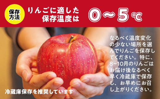 長野県飯綱町のふるさと納税 りんご サンふじ 秀 ～ 特秀 ( 大玉 ) 5kg 渡辺農園 沖縄県への配送不可 2025年12月上旬頃から2026年1月中旬頃まで順次発送予定 令和7年度収穫分 エコファーマー認定 減農薬栽培 長野県 飯綱町 [0804]
