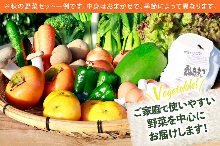 長崎県島原市のふるさと納税 AI243 旬の野菜 フルーツ セット 卵6個 計11～14品目[ 野菜 野菜セット 詰め合わせ 果物 たまご 卵 赤卵 雲仙たまご 島原市 長崎県 農産品流通 ]