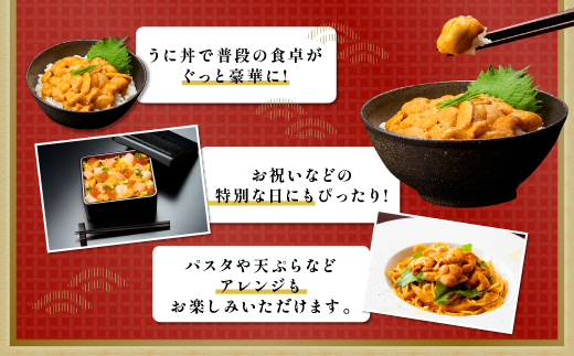 北海道登別市のふるさと納税 極上 エゾバフンウニ 100g（パック詰）
