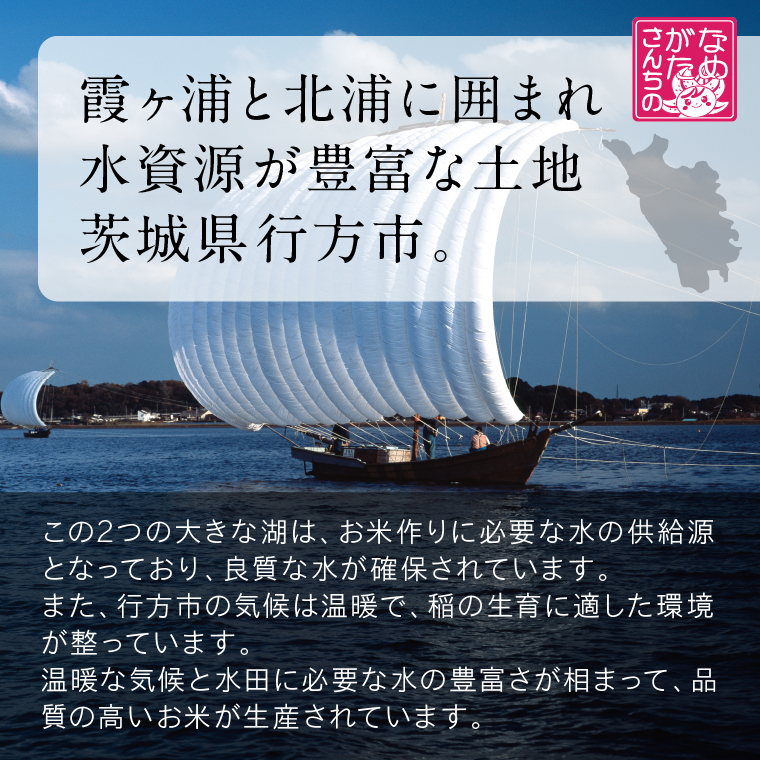 茨城県行方市のふるさと納税 ★最短3営業日で発送★十八雑穀 パックごはん 18食入り 安心の国産原料(HE-1-2)