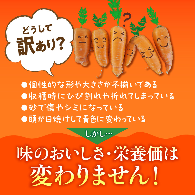 愛知県碧南市のふるさと納税 訳あり！こどもも食べられる甘み！「マドンナキャロット」 5Kg にんじん 野菜　H105-084