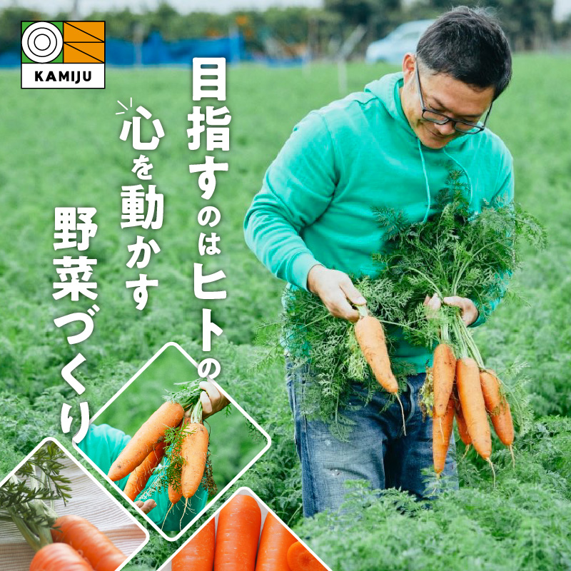 愛知県碧南市のふるさと納税 訳あり！こどもも食べられる甘み！「マドンナキャロット」 5Kg にんじん 野菜　H105-084