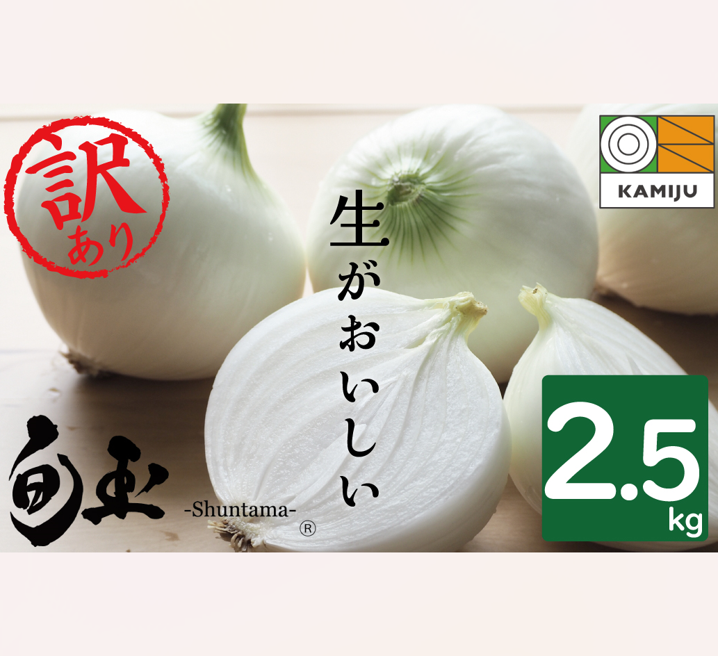 愛知県碧南市のふるさと納税 【数量限定】訳あり 新玉ねぎ 生がおいしい 神重農産のブランド玉ねぎ「旬玉」2.5kg ブランド玉ねぎ 玉ねぎ 国産 愛知県産 野菜 やさい 農家直送 畑直送 旬 期間限定 たまねぎ 先行予約 旬 特産 高評価 高リピート 人気 H105-152