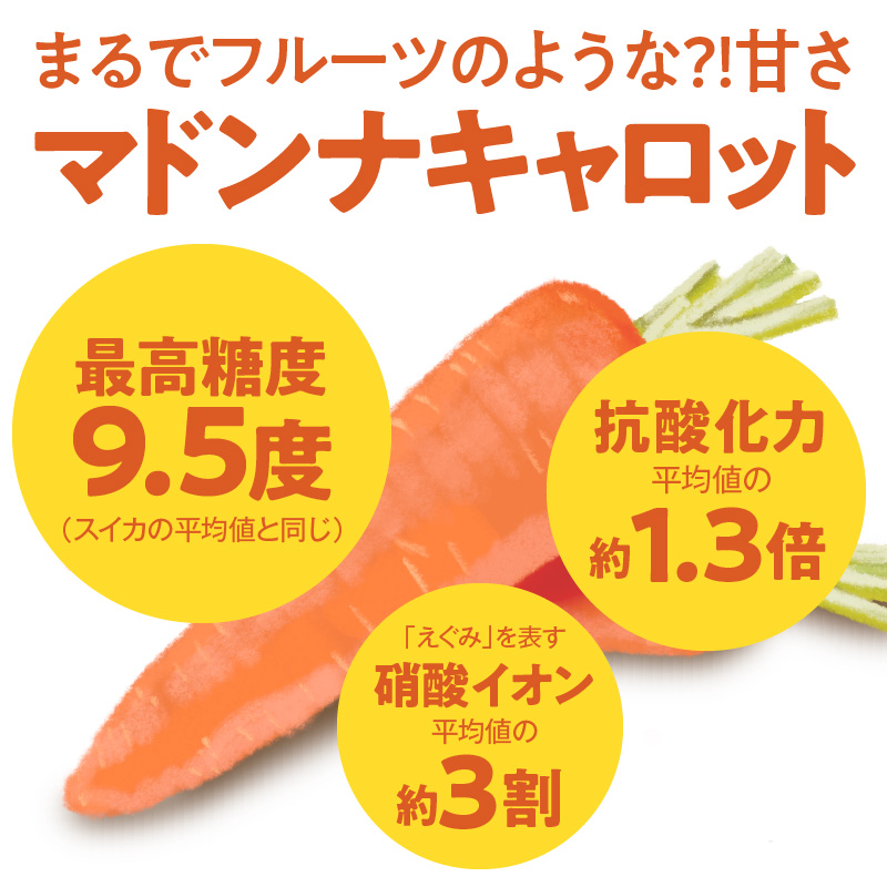 愛知県碧南市のふるさと納税 ＜フジテレビ『どっちのふるさと？』で紹介されました！＞ 【期間限定】訳あり！こどもも食べられる甘み！「マドンナキャロット」 2kg にんじん 人参 ニンジン 野菜 やさい 国産 碧南市 健康 食品ロス削減 甘い 先行予約 旬 特産 高評価 高リピート 人気 H105-134