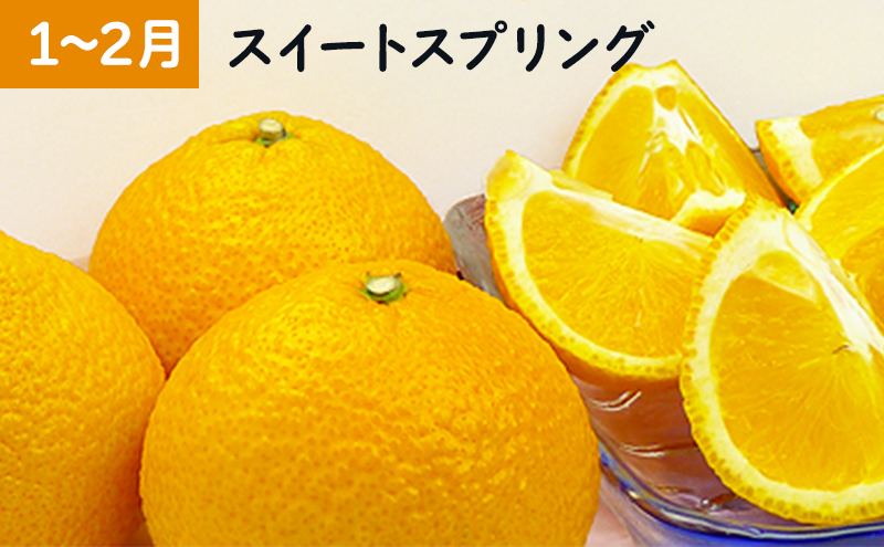 小豆島】【6回お届け】土庄町 旬の果実 定期便 フルーツ 果物 季節 旬