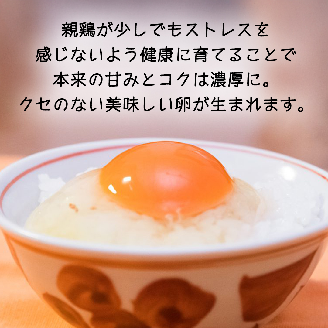 茨城県つくばみらい市のふるさと納税 【 定期便 】【 全6回 コース 】紅プレミアム 卵 30個 （ 25個 入り ＋ 割れ保障 5個 ） 独自飼料 濃厚 おいしい玉子 玉子 たまご サンサンエッグ タンパク質 [CX07-NT]