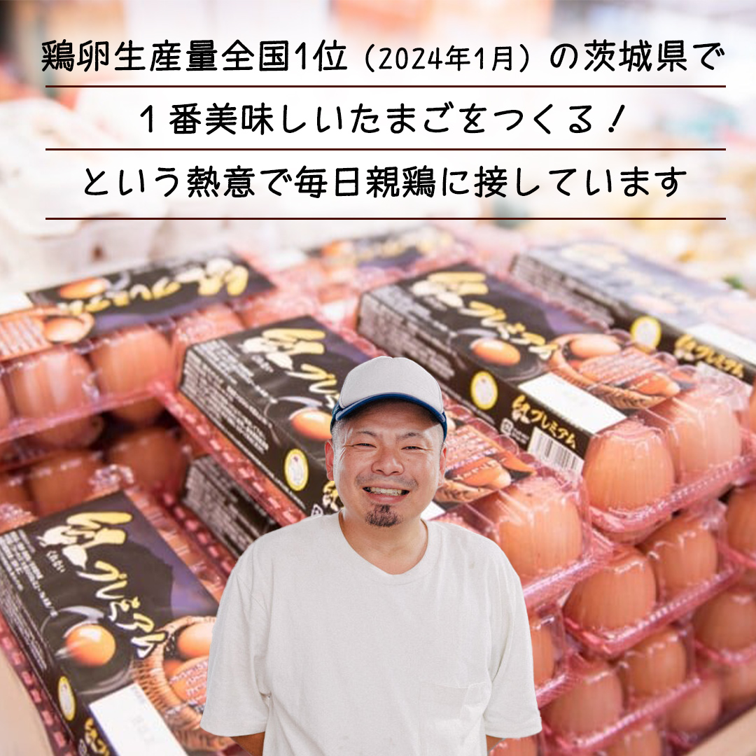 茨城県つくばみらい市のふるさと納税 【 定期便 】【 全6回 コース 】紅プレミアム 卵 30個 （ 25個 入り ＋ 割れ保障 5個 ） 独自飼料 濃厚 おいしい玉子 玉子 たまご サンサンエッグ タンパク質 [CX07-NT]