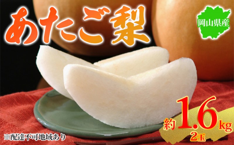yRʖsz 2025Ns\ RY  1.6kg 2 ͂ 11{`12{