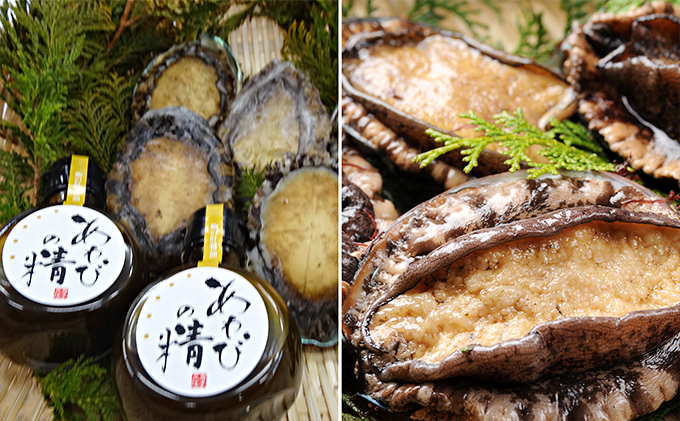 あわび尽くしセット計1 1kg 蝦夷アワビ 肝 肝醤油 岩手県大船渡市 ふるさと納税サイト ふるさとプレミアム