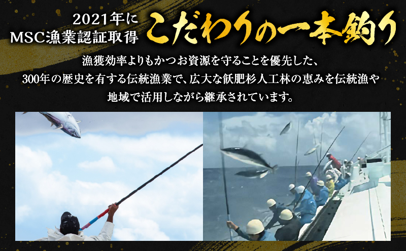 宮崎県日南市のふるさと納税 ＼近海かつお一本釣り漁獲量日本一!!／ 大判 かつお 柵 計800g 食品 国産 真空パック おすすめ 鰹 カツオ 刺身 刺し身 サク おかず おつまみ ギフト 魚介類 新鮮 海産物 水産 海の幸 数量限定 人気 プレゼント 贈り物 贈答 お取り寄せ 宮崎県 日南市 送料無料_BB149-24